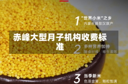 赤峰大型月子机构收费标准