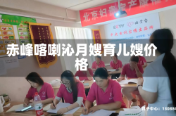 赤峰喀喇沁月嫂育儿嫂价格