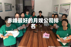 赤峰最好的月嫂公司排名
