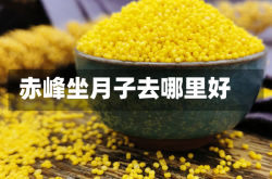 赤峰坐月子去哪里好