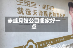 赤峰月嫂公司哪家好一点