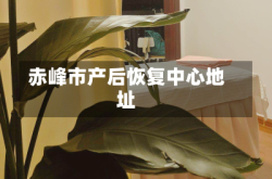 赤峰市产后恢复中心地址