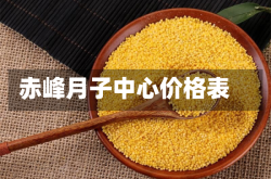 赤峰月子中心价格表