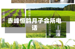 赤峰恒韵月子会所电话