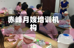 赤峰月嫂培训机构