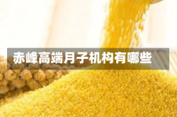 赤峰高端月子机构有哪些