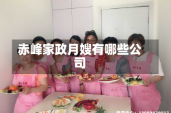 赤峰家政月嫂有哪些公司