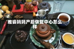 雅姿妈妈产后恢复中心怎么样