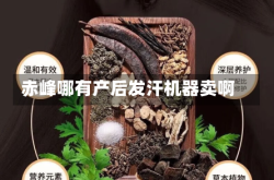 赤峰哪有产后发汗机器卖啊