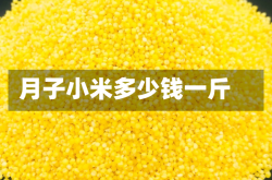 月子小米多少钱一斤