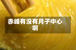 赤峰有没有月子中心啊