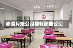 赤峰月嫂公司都有那些公司