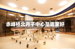 赤峰桥北月子中心是哪家好