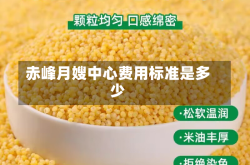 赤峰月嫂中心费用标准是多少