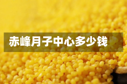 赤峰月子中心多少钱
