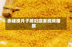 赤峰接月子媳妇回家视频播放