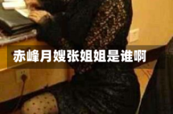 赤峰月嫂张姐姐是谁啊
