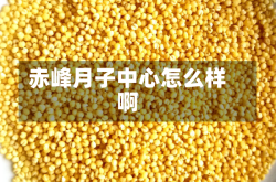 赤峰月子中心怎么样啊