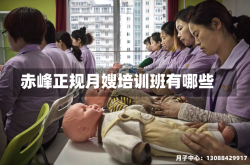 赤峰正规月嫂培训班有哪些