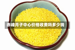 赤峰月子中心价格收费吗多少钱