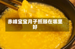 赤峰宝宝月子照顾在哪里好