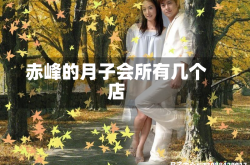 赤峰的月子会所有几个店