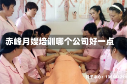 赤峰月嫂培训哪个公司好一点