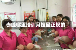 赤峰哪里培训月嫂最正规的