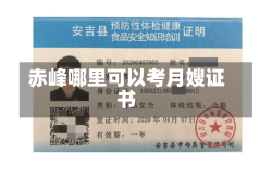 赤峰哪里可以考月嫂证书