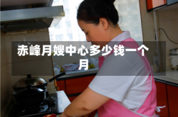 赤峰月嫂中心多少钱一个月