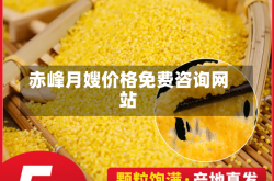 赤峰月嫂价格免费咨询网站