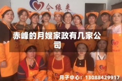 赤峰的月嫂家政有几家公司