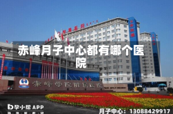 赤峰月子中心都有哪个医院