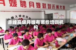 赤峰高级月嫂有哪些培训机构