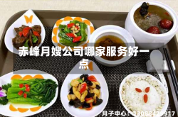 赤峰月嫂公司哪家服务好一点