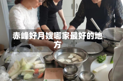 赤峰好月嫂哪家最好的地方