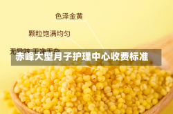 赤峰大型月子护理中心收费标准
