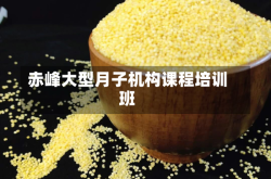 赤峰大型月子机构课程培训班