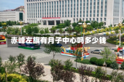 赤峰左旗有月子中心吗多少钱