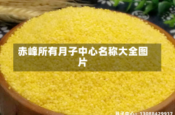 赤峰所有月子中心名称大全图片