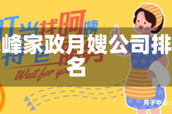 赤峰家政月嫂公司排名