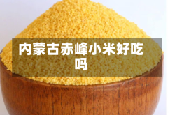 内蒙古赤峰小米好吃吗