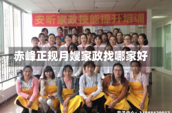 赤峰正规月嫂家政找哪家好