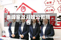 赤峰家政月嫂公司排名