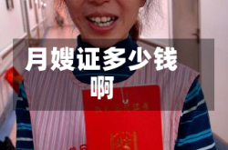 月嫂证多少钱啊