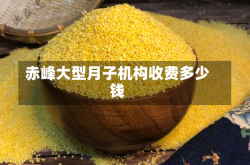 赤峰大型月子机构收费多少钱