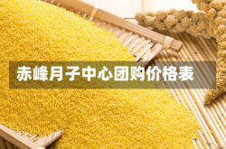 赤峰月子中心团购价格表