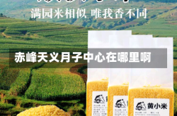 赤峰天义月子中心在哪里啊
