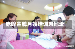 赤峰金牌月嫂培训班地址