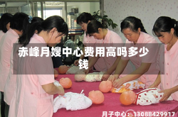 赤峰月嫂中心费用高吗多少钱